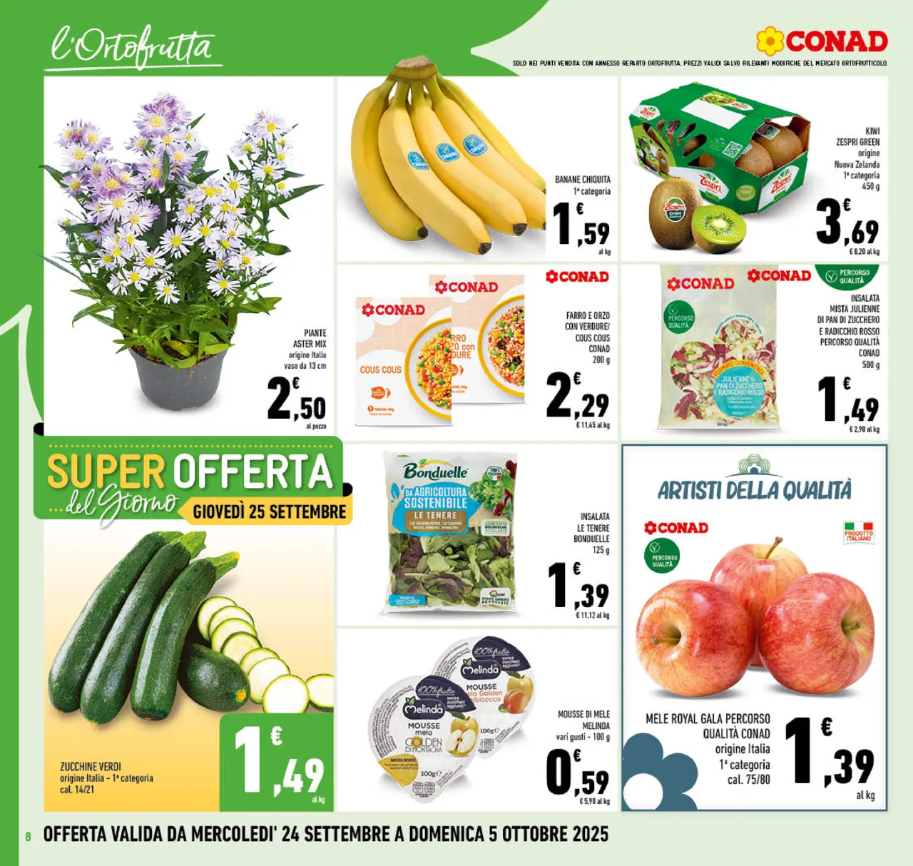 Pagina 8