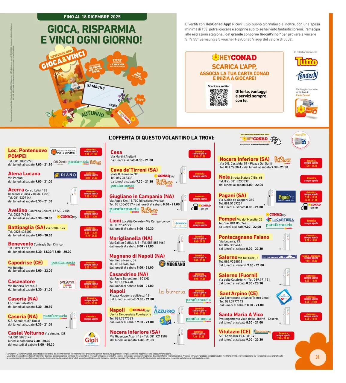 Pagina 31