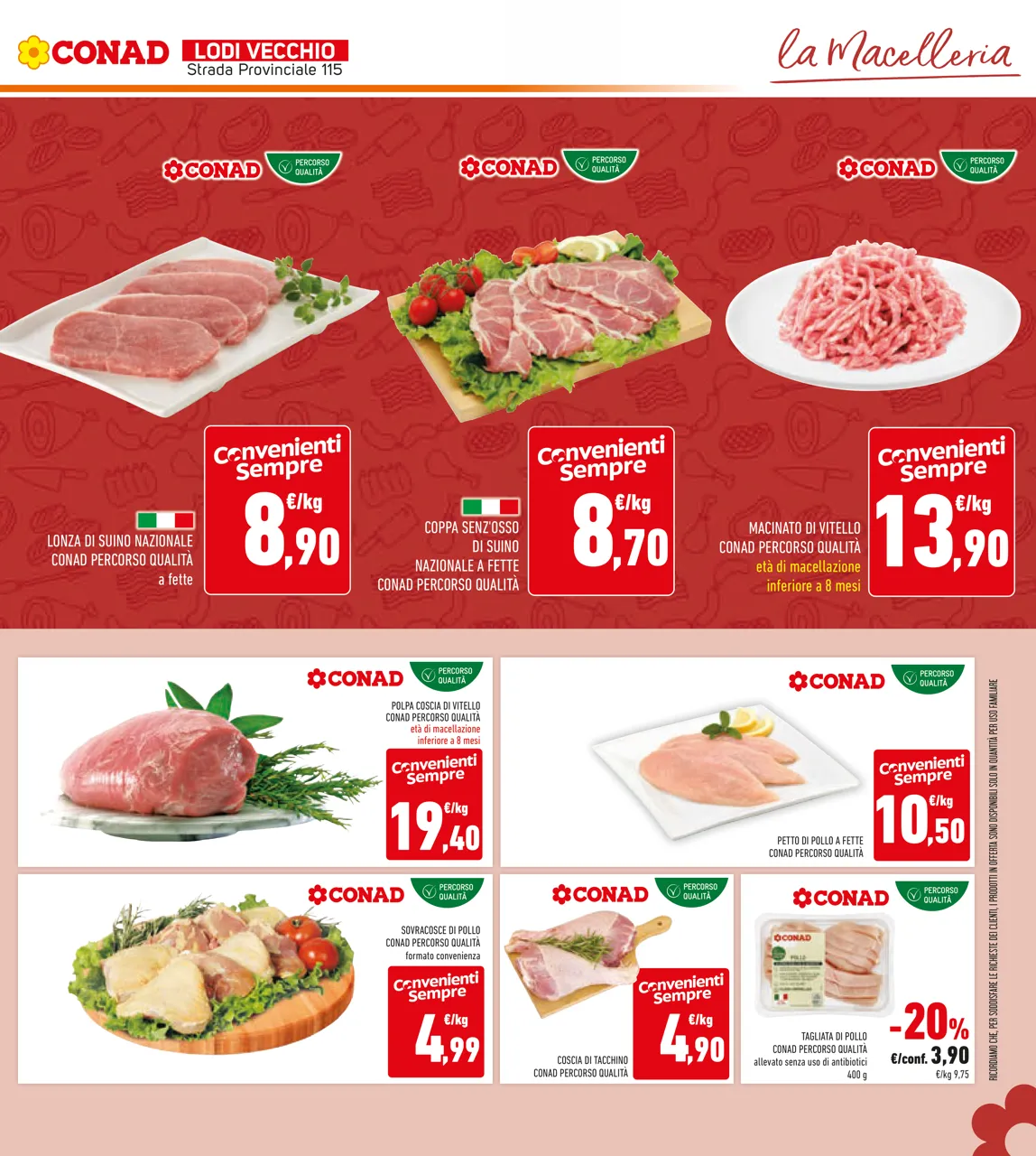 Pagina 21