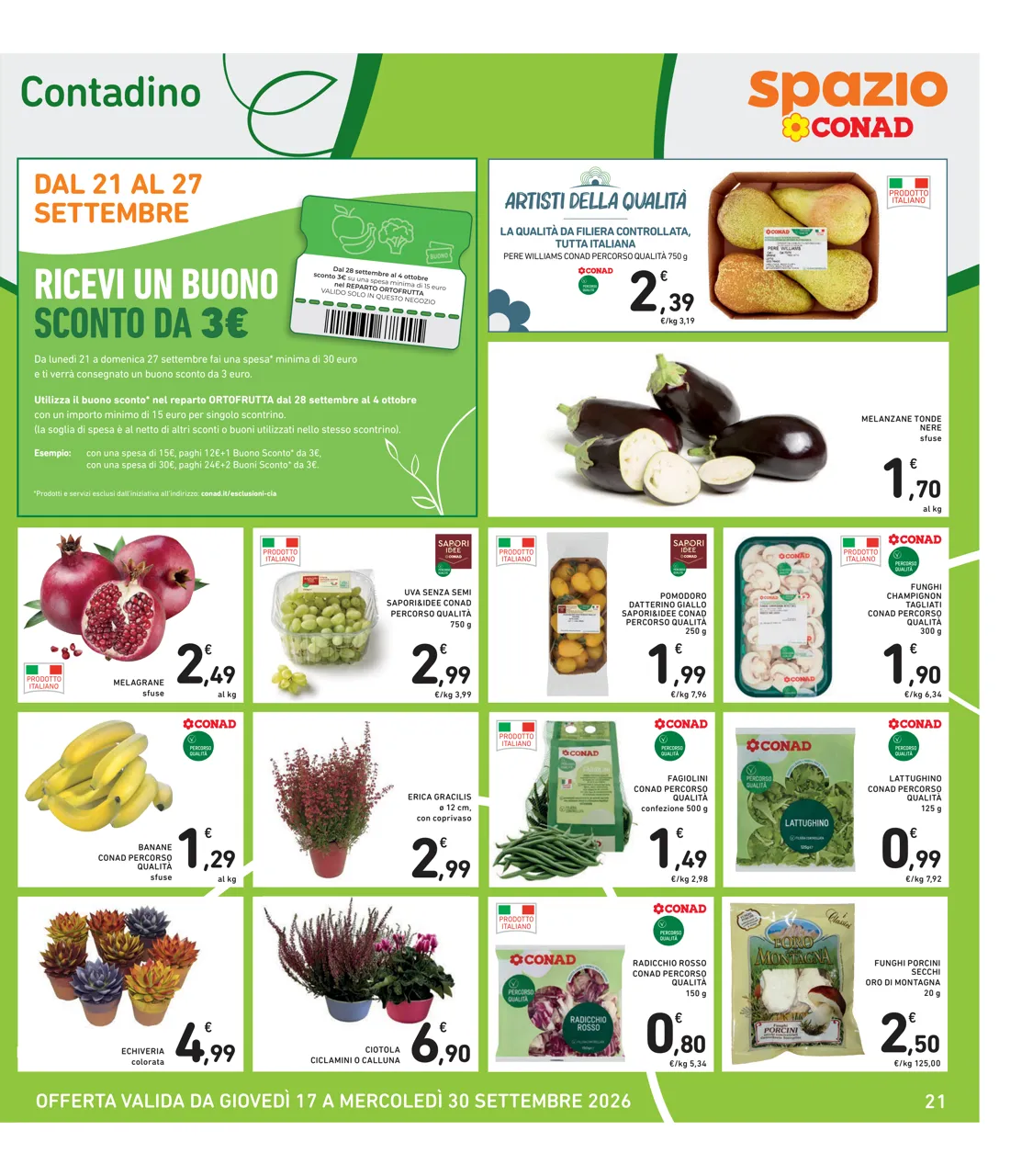 Pagina 21