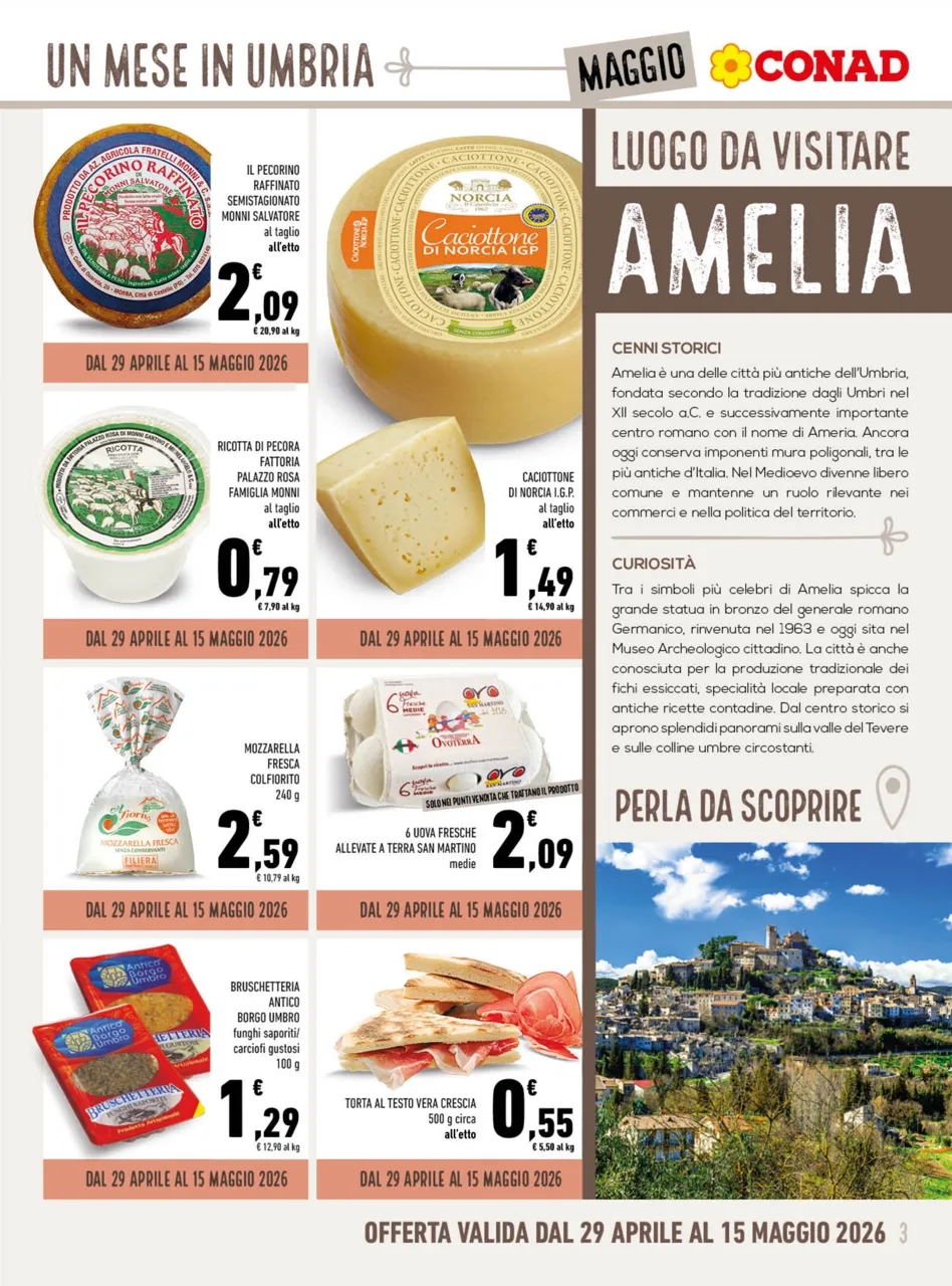 Pagina 3