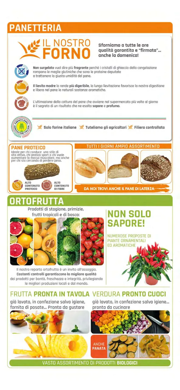 Pagina 8