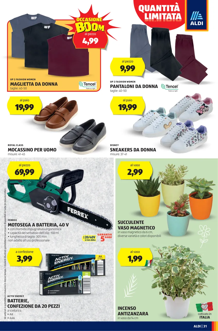 Pagina 31