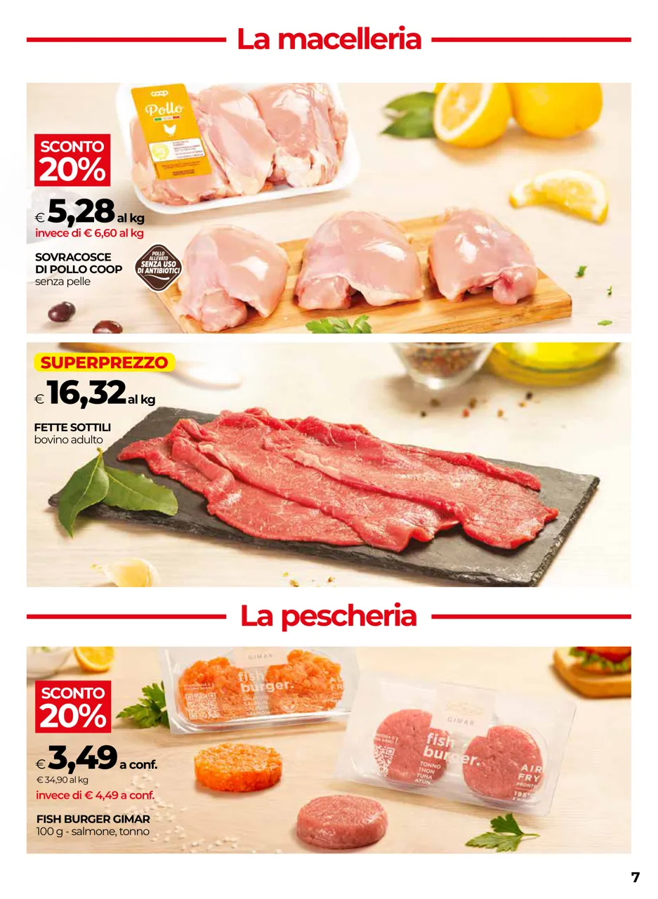 Pagina 7