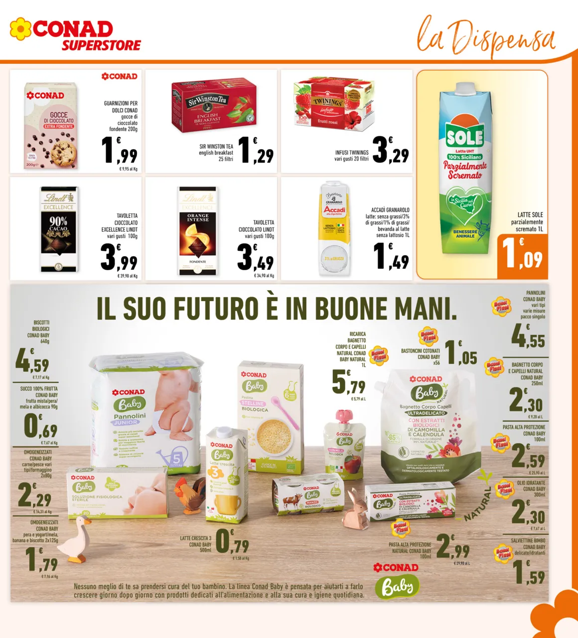 Pagina 17