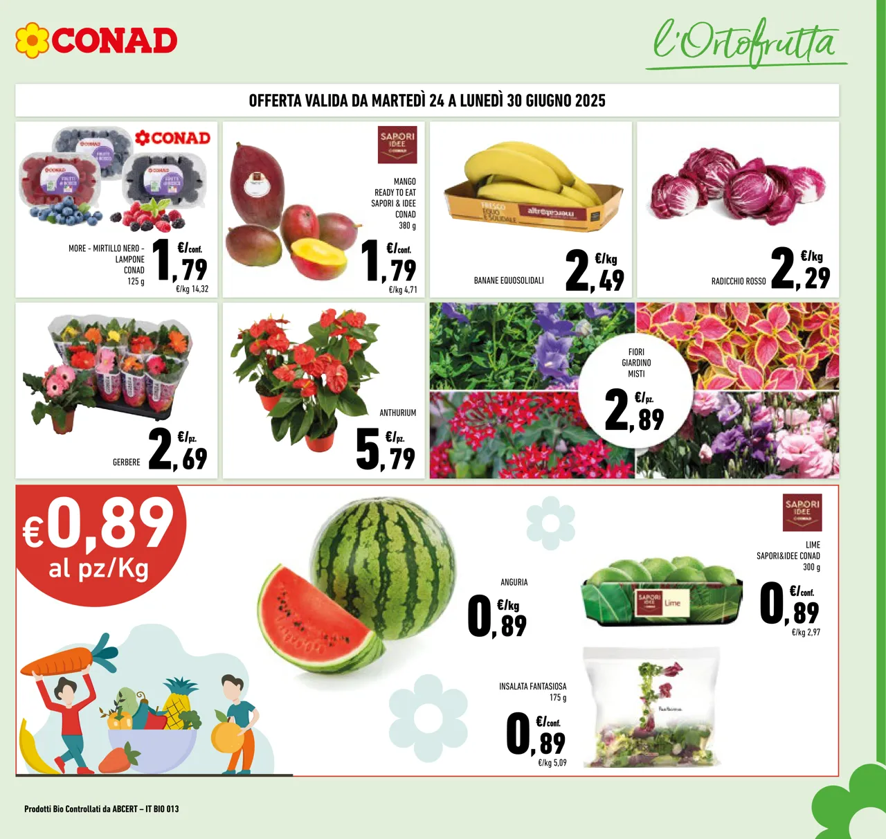 Pagina 3
