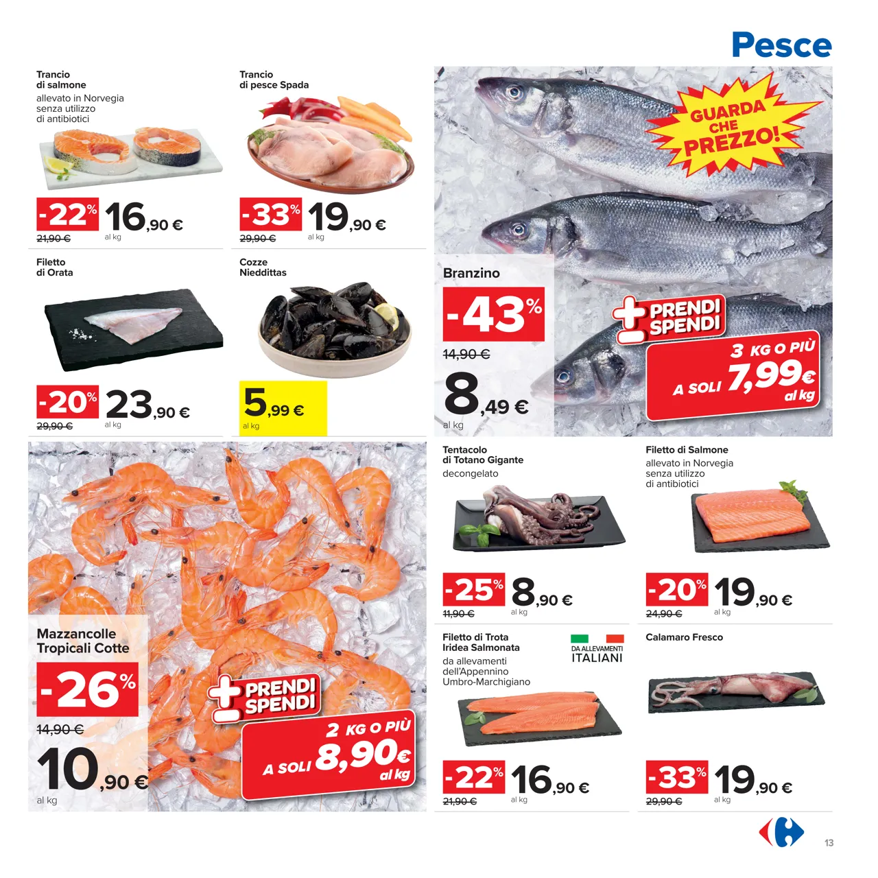 Pagina 13