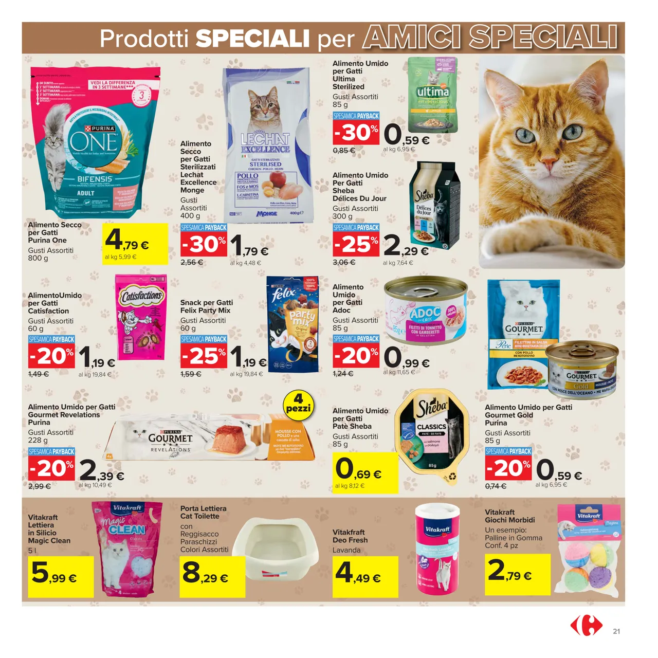 Pagina 21