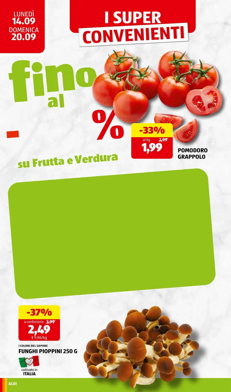 Pagina 8
