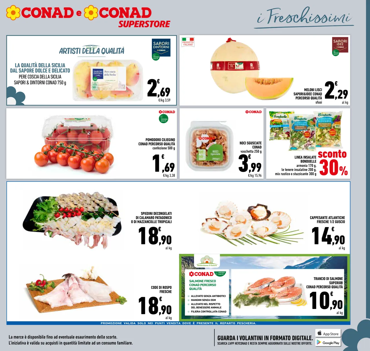 Pagina 13