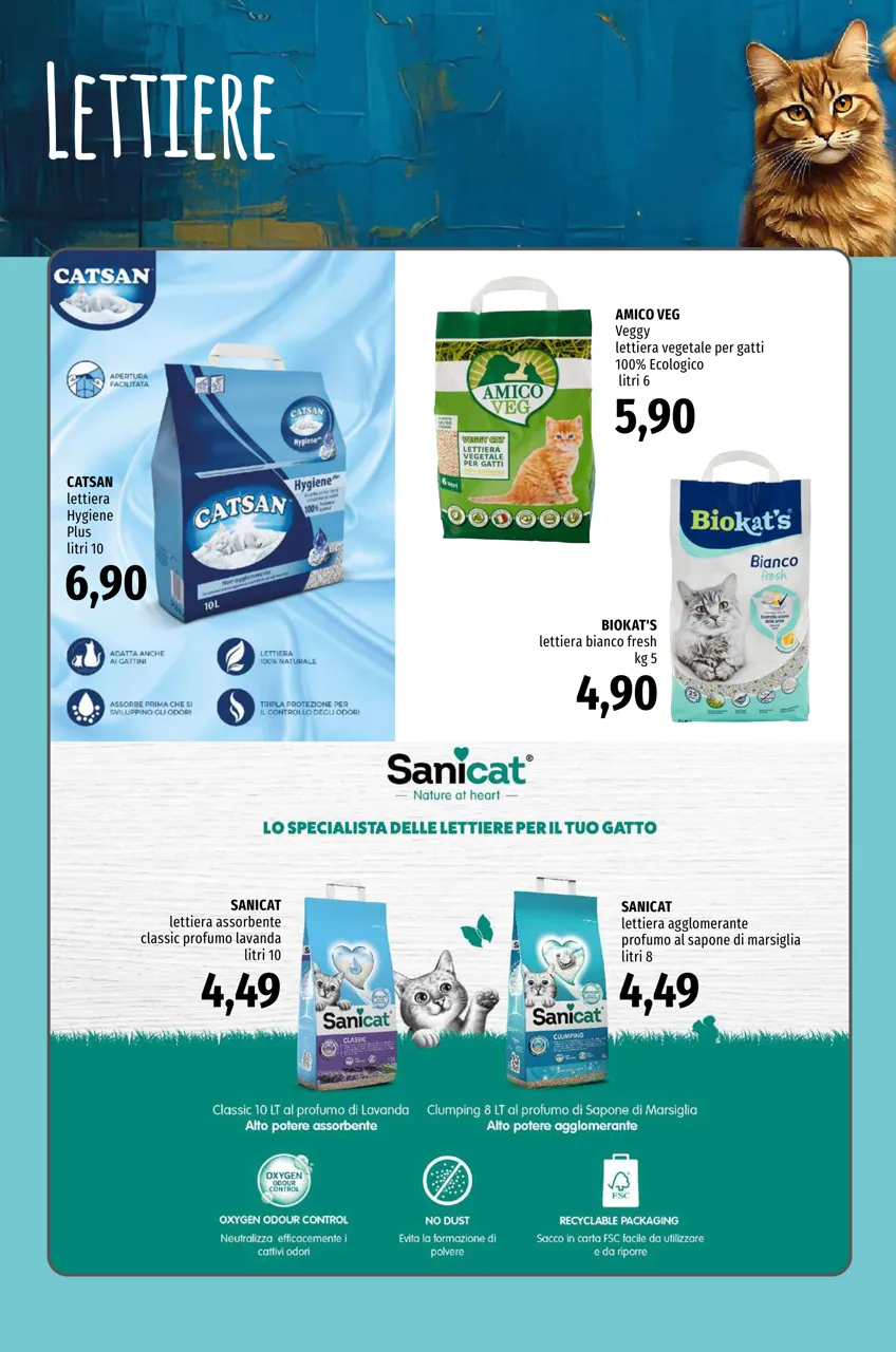 Pagina 8
