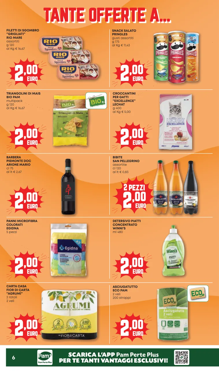 Pagina 6