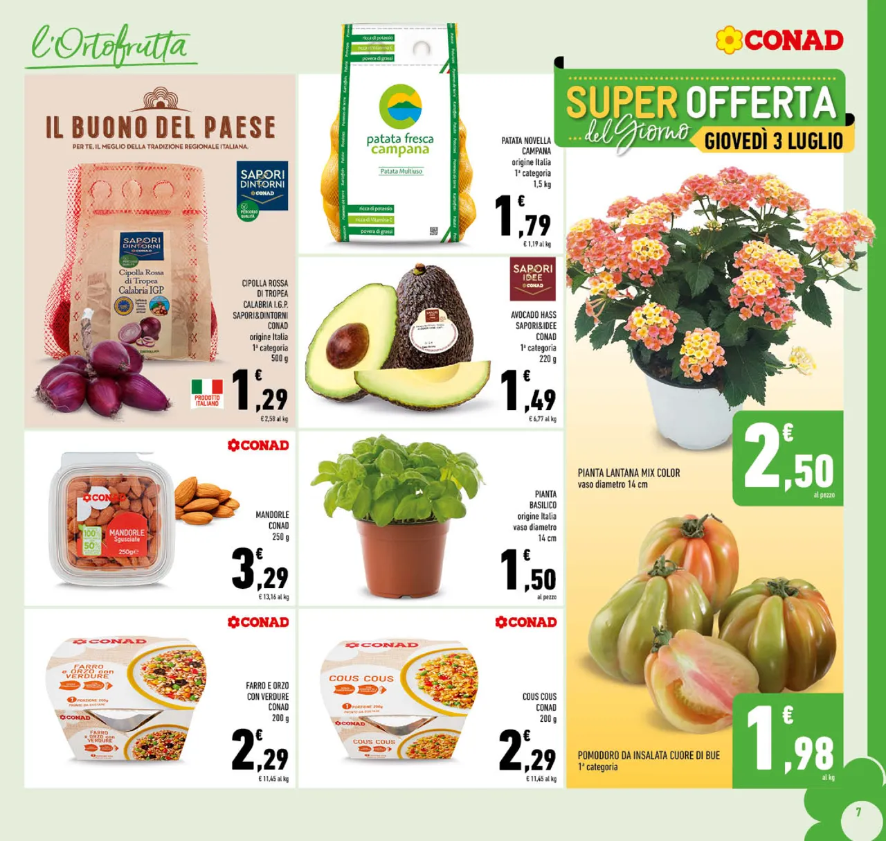Pagina 7