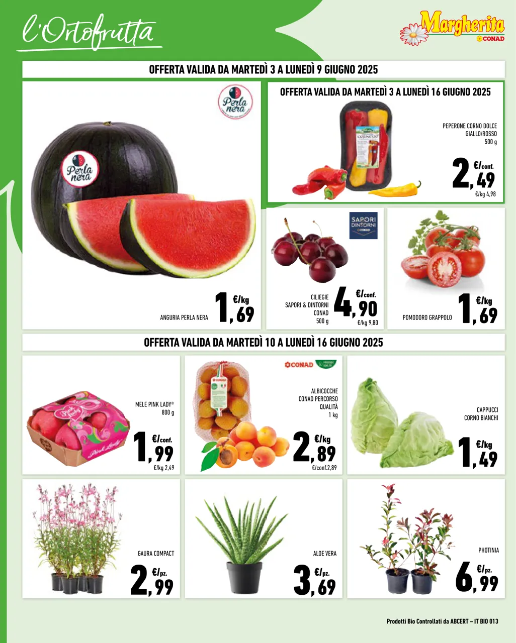 Pagina 2