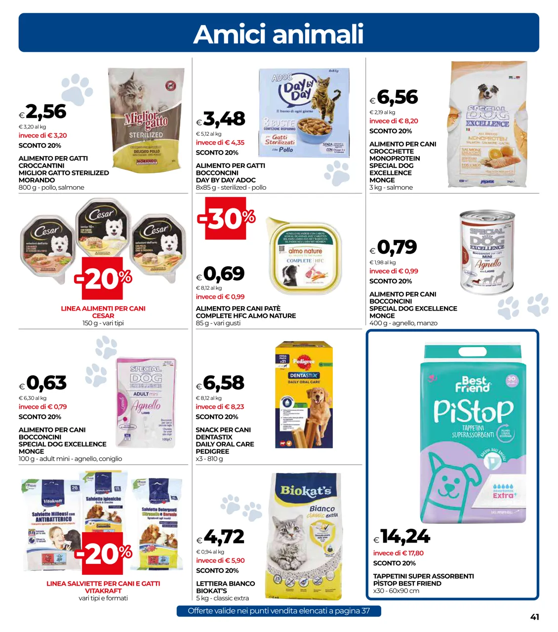 Pagina 41
