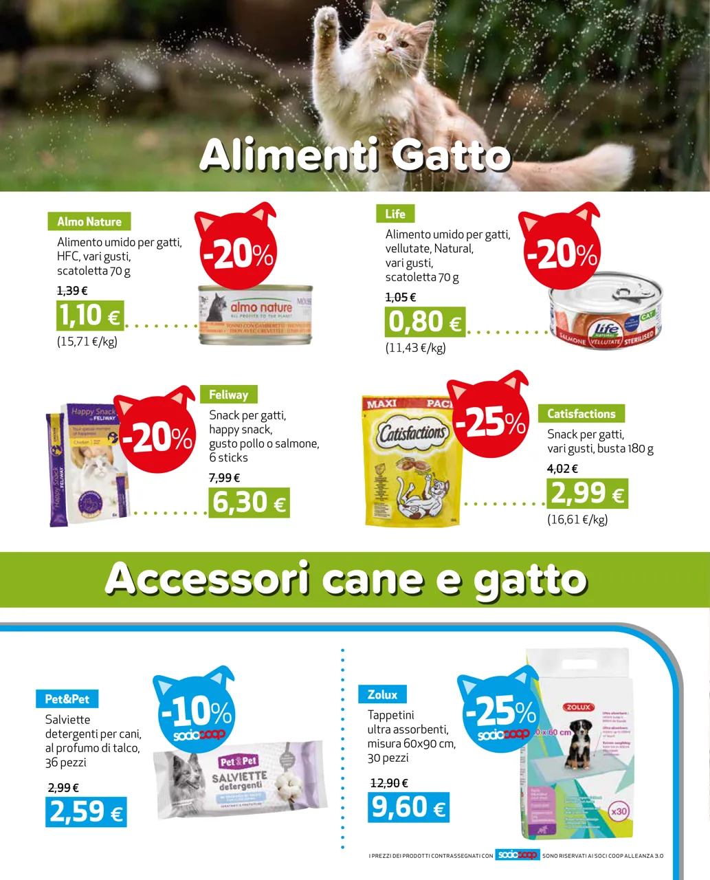 Pagina 6