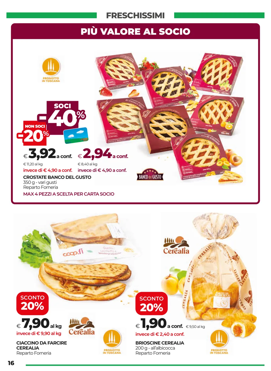 Pagina 16