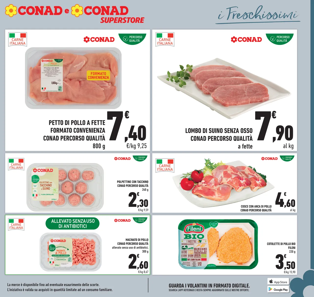 Pagina 5