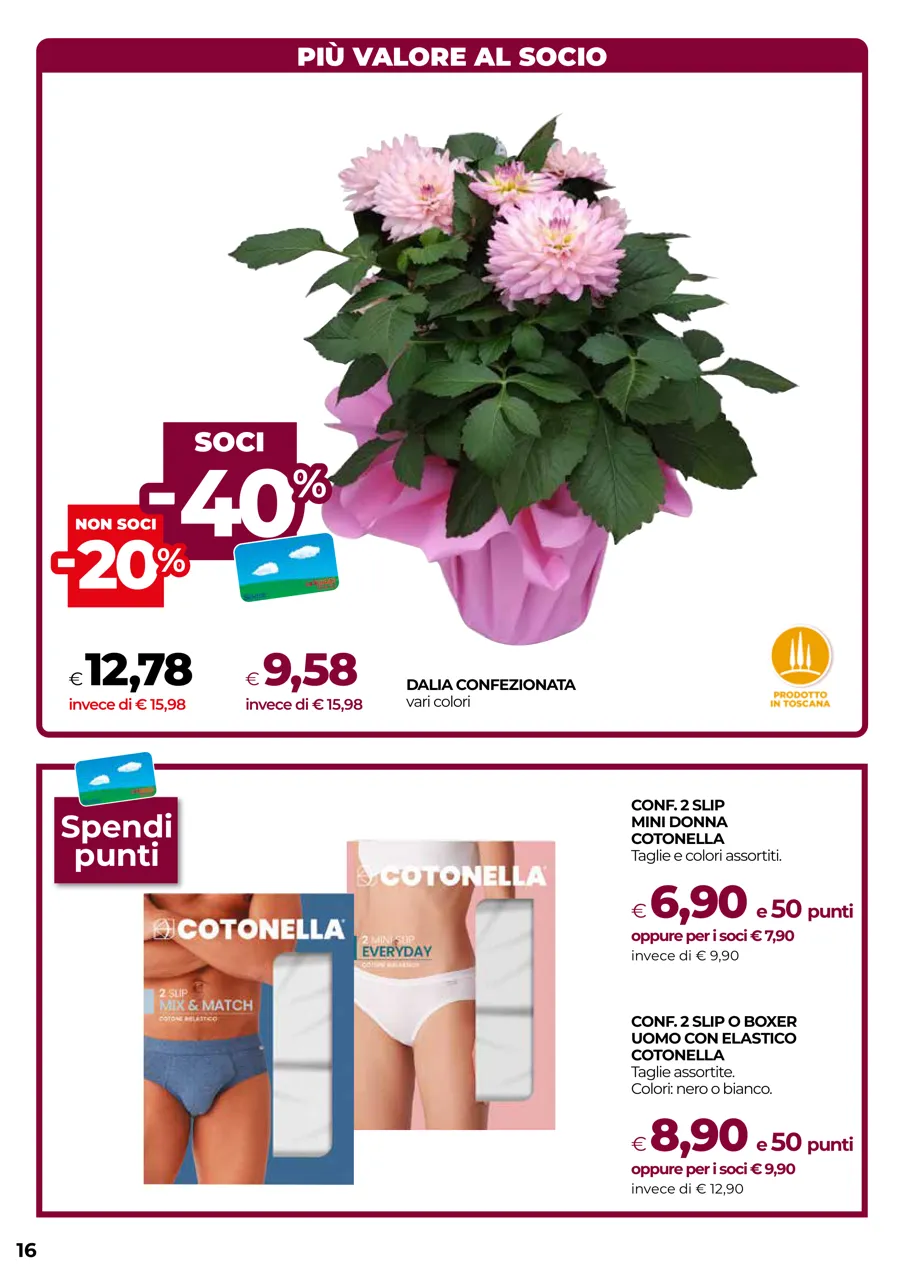 Pagina 16