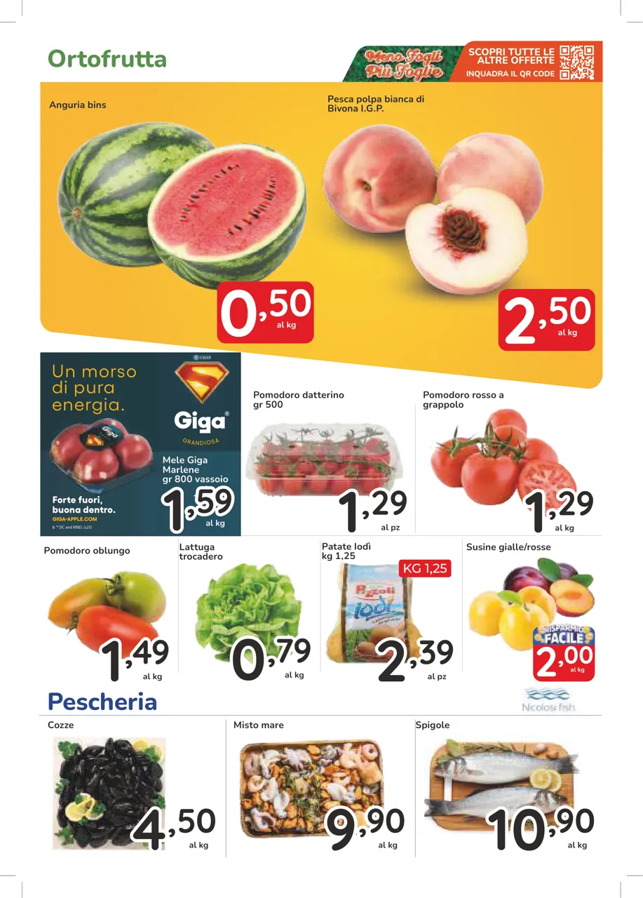 Pagina 8