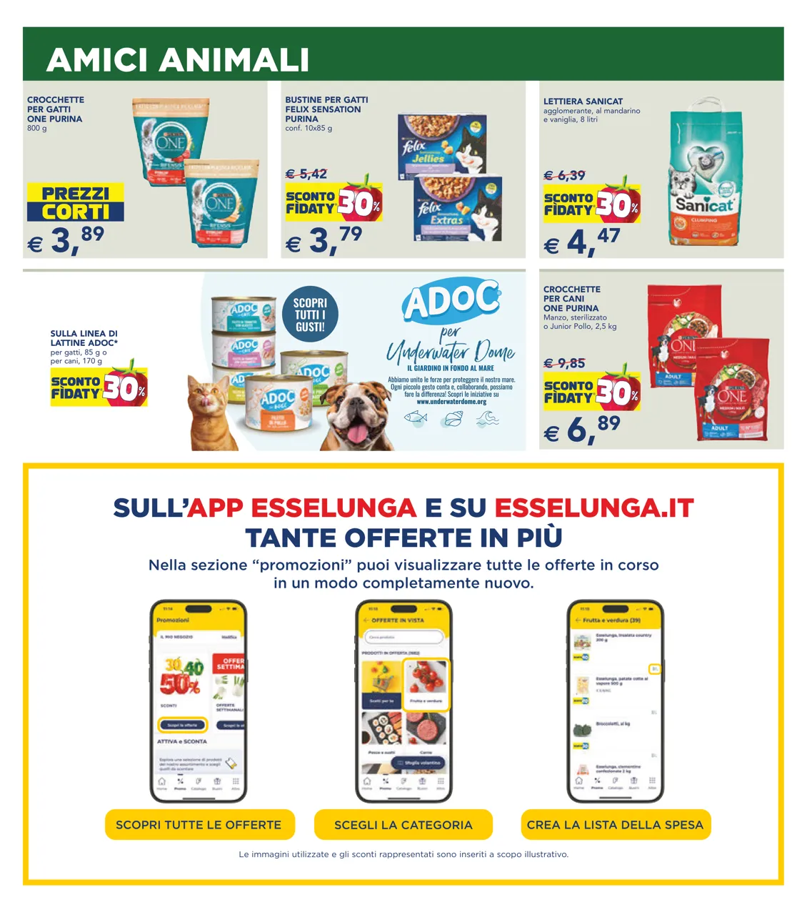 Pagina 17