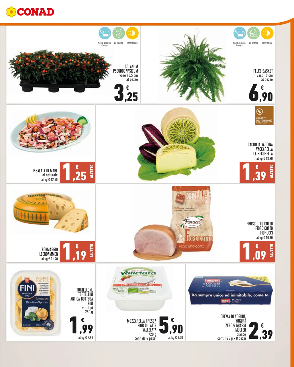 Pagina 3