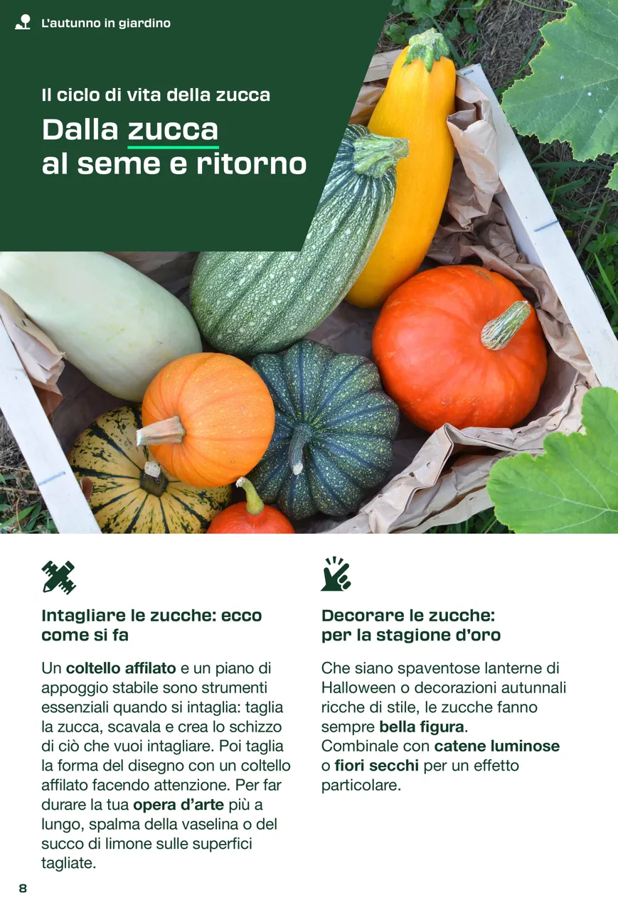 Pagina 8