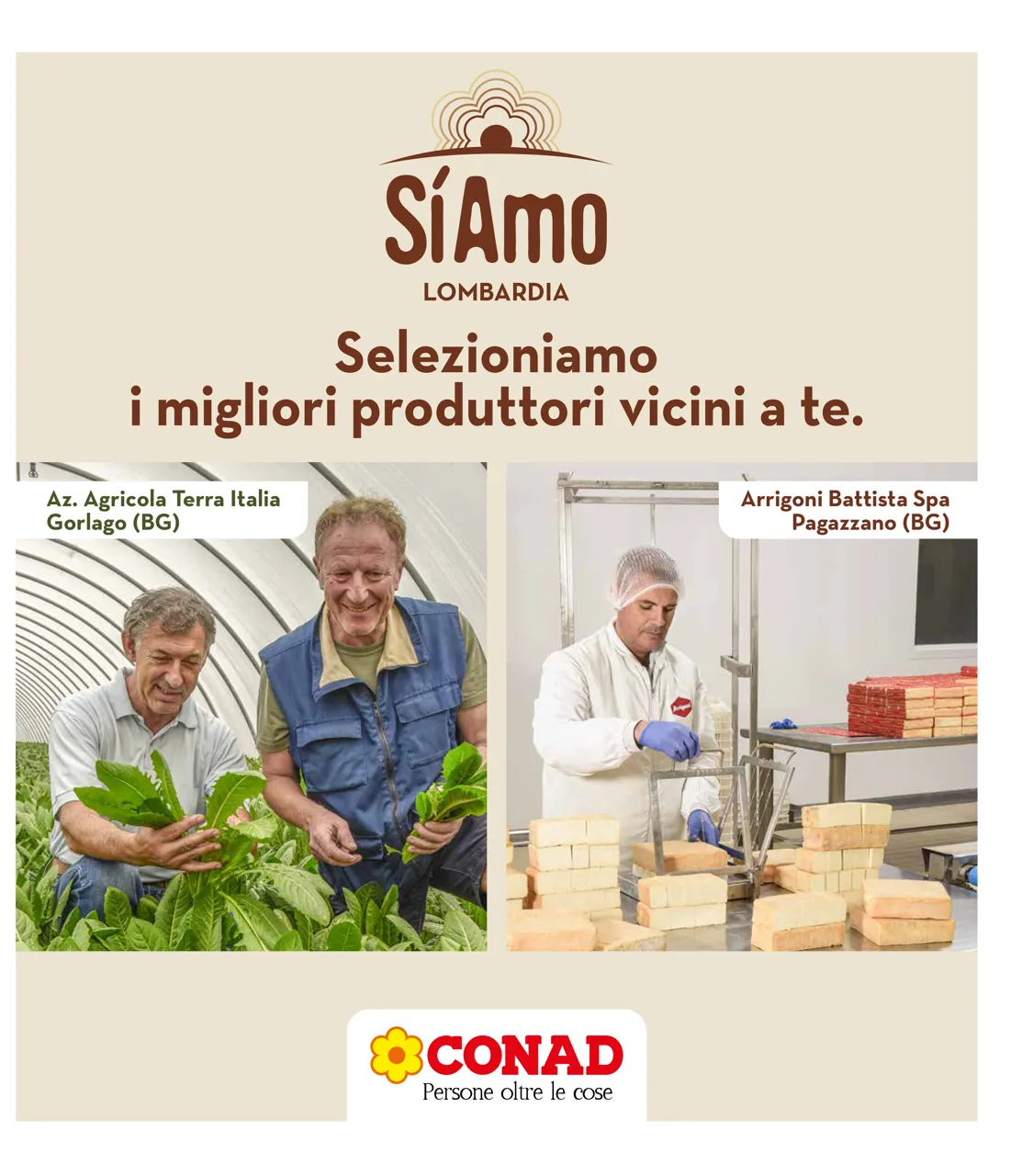 Pagina 31