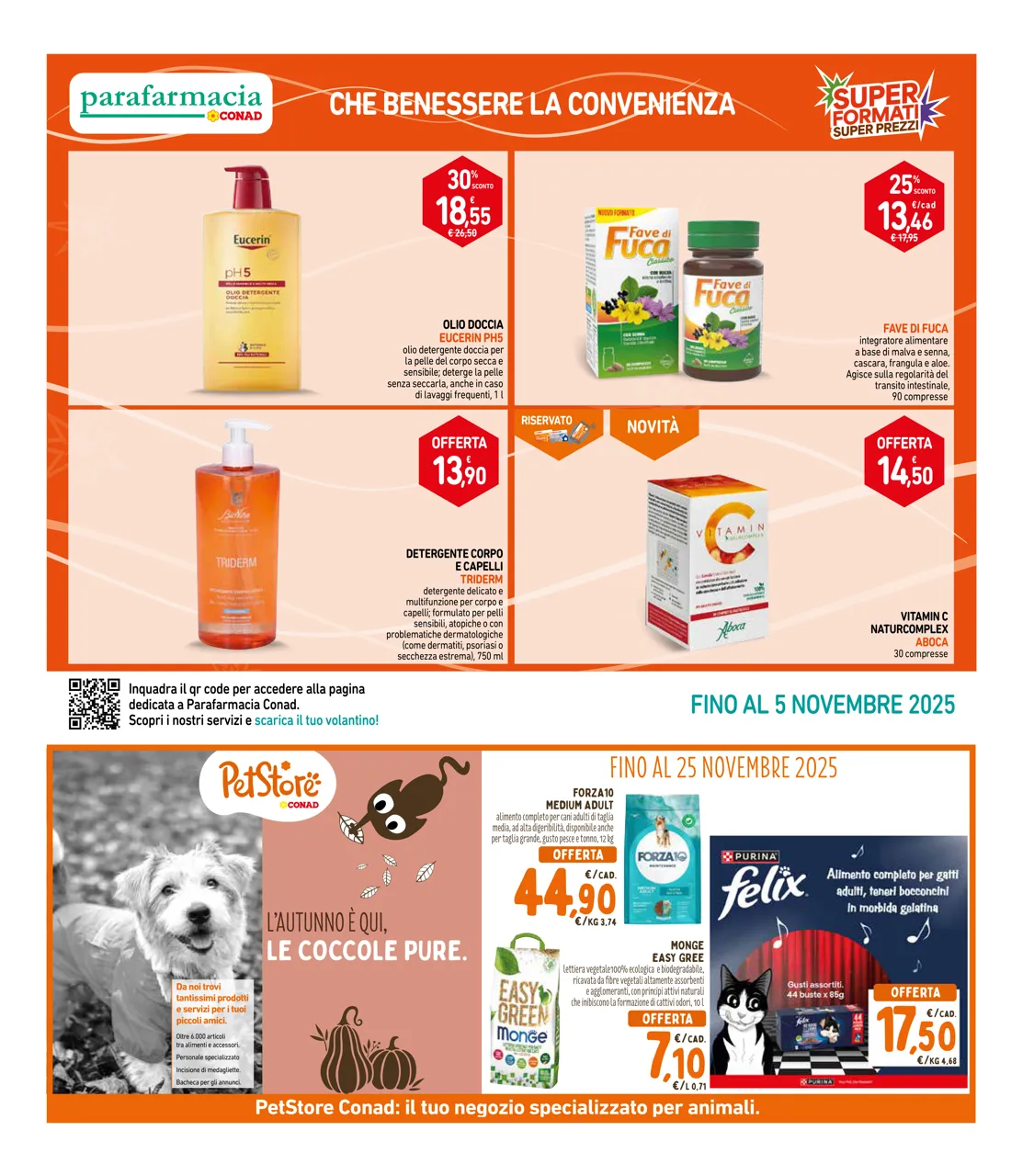 Pagina 33