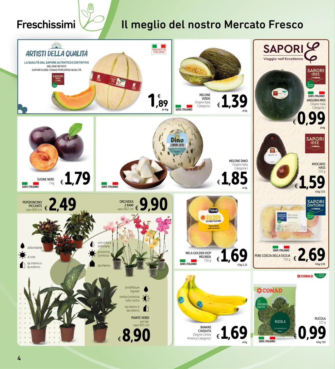 Pagina 4