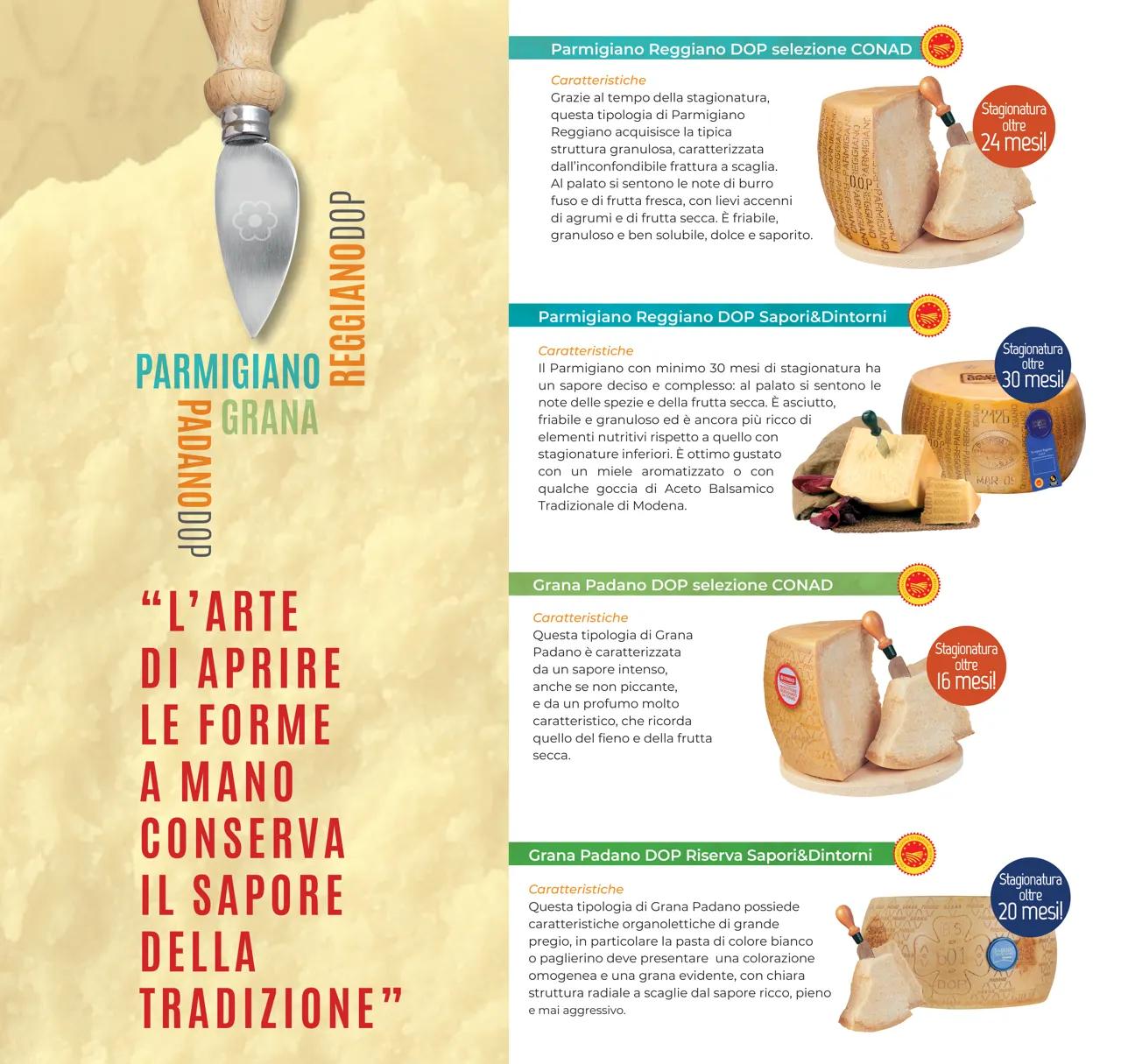 Pagina 8