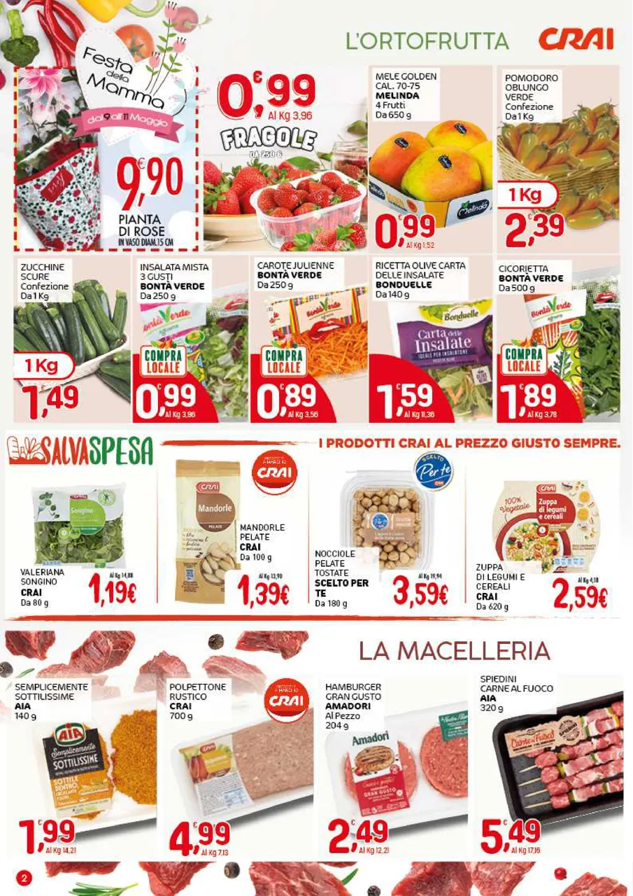 Pagina 2