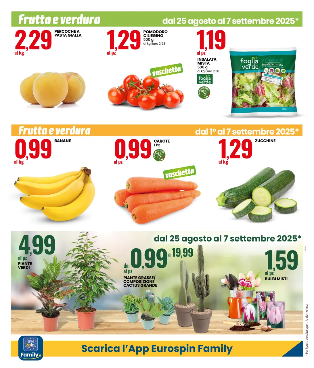 Pagina 12