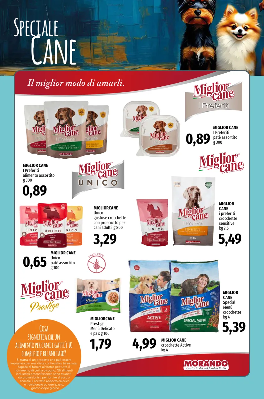 Pagina 12