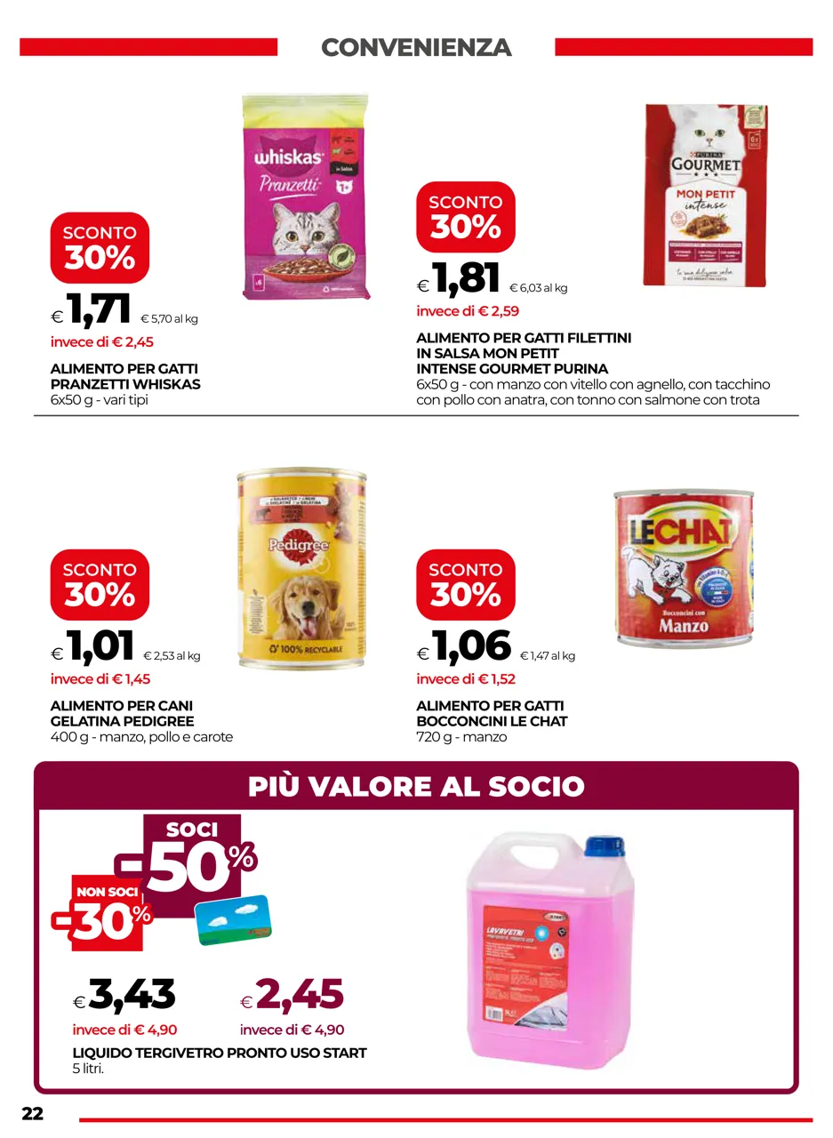 Pagina 22