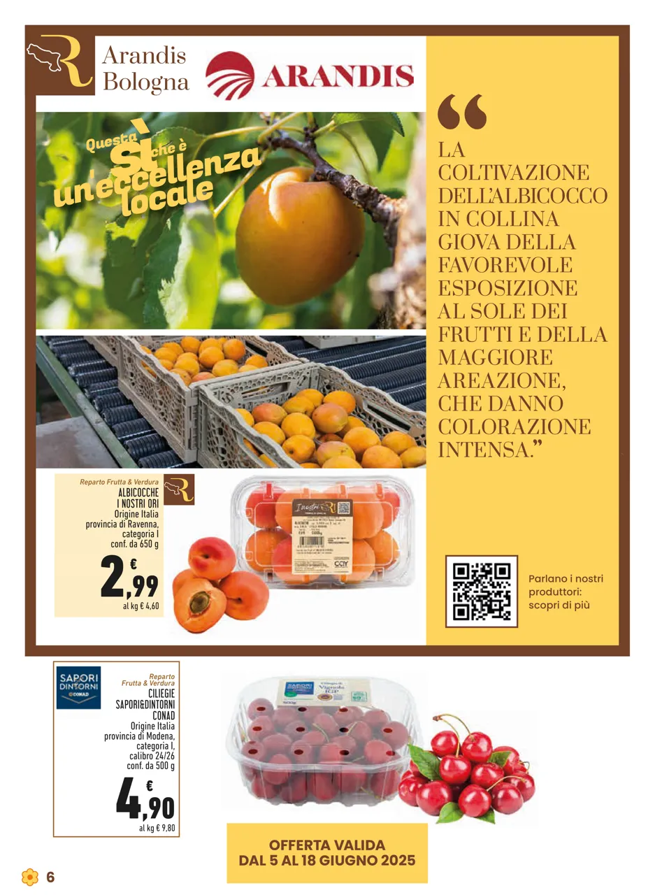 Pagina 6