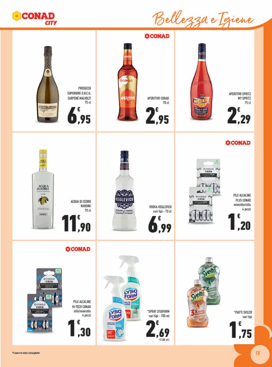 Pagina 13