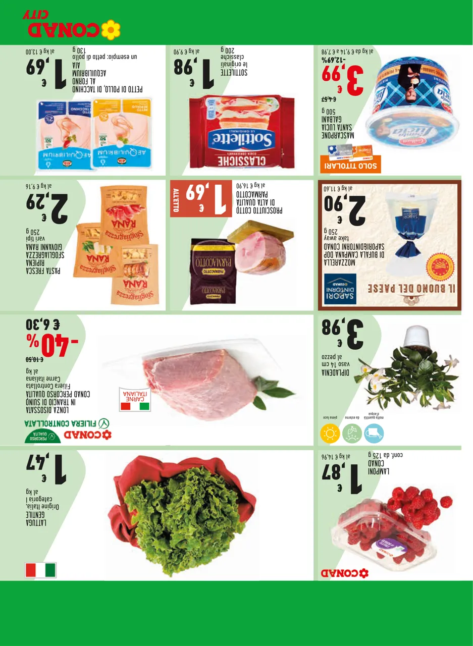 Pagina 19