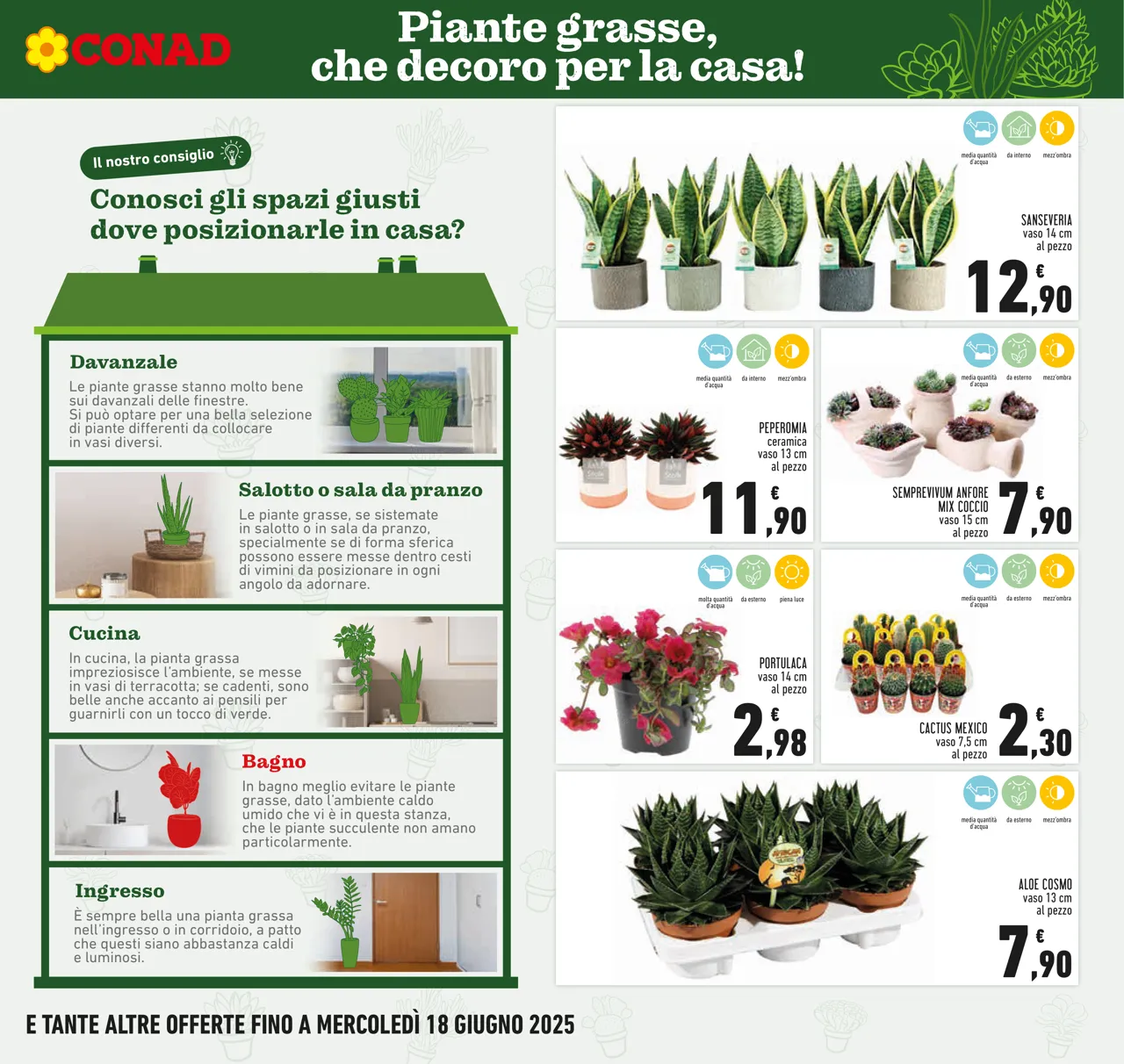 Pagina 7