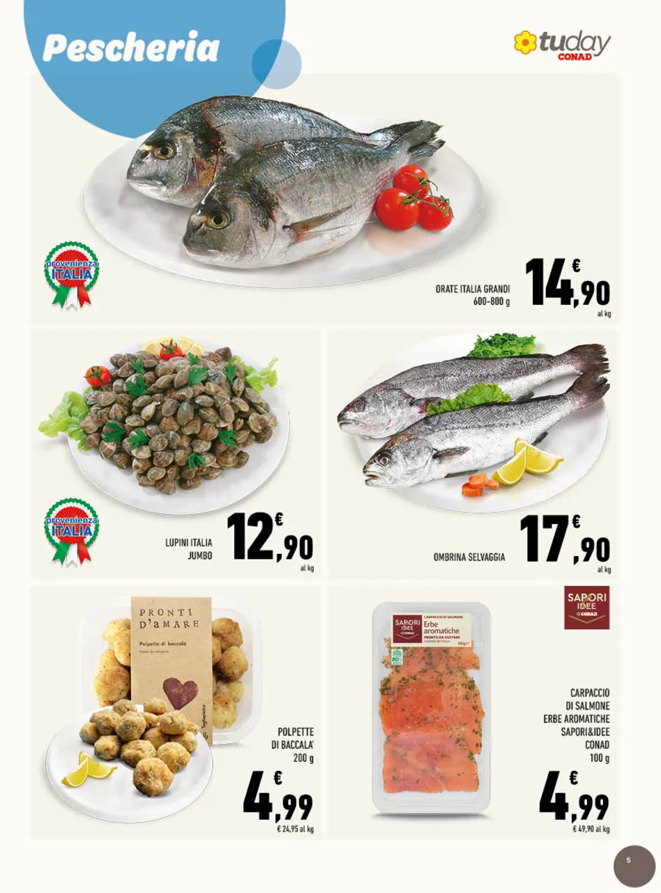 Pagina 5