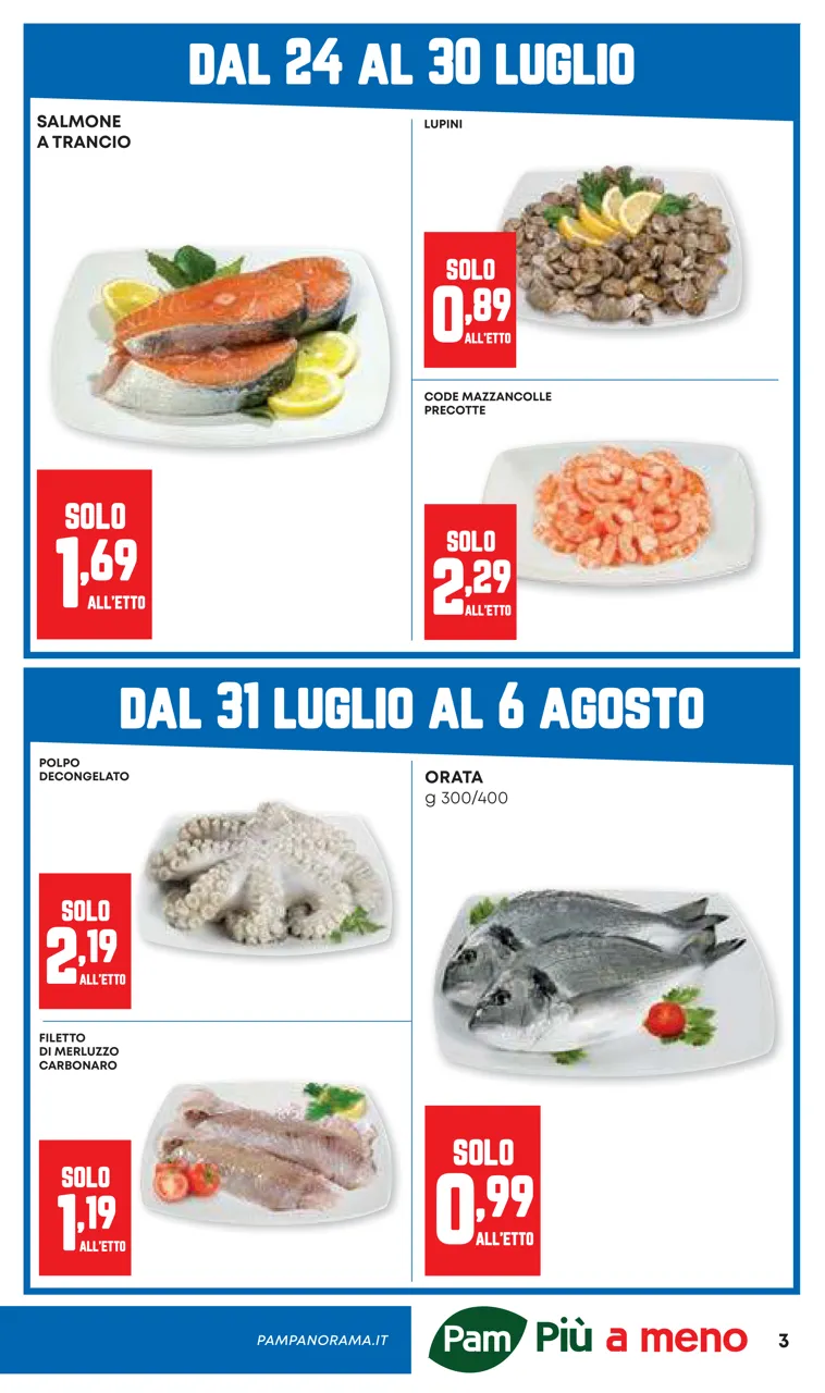 Pagina 3