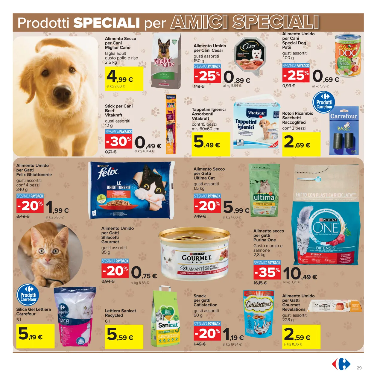 Pagina 29