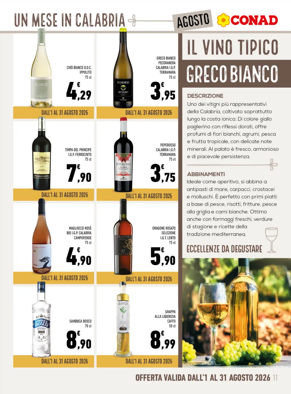 Pagina 11