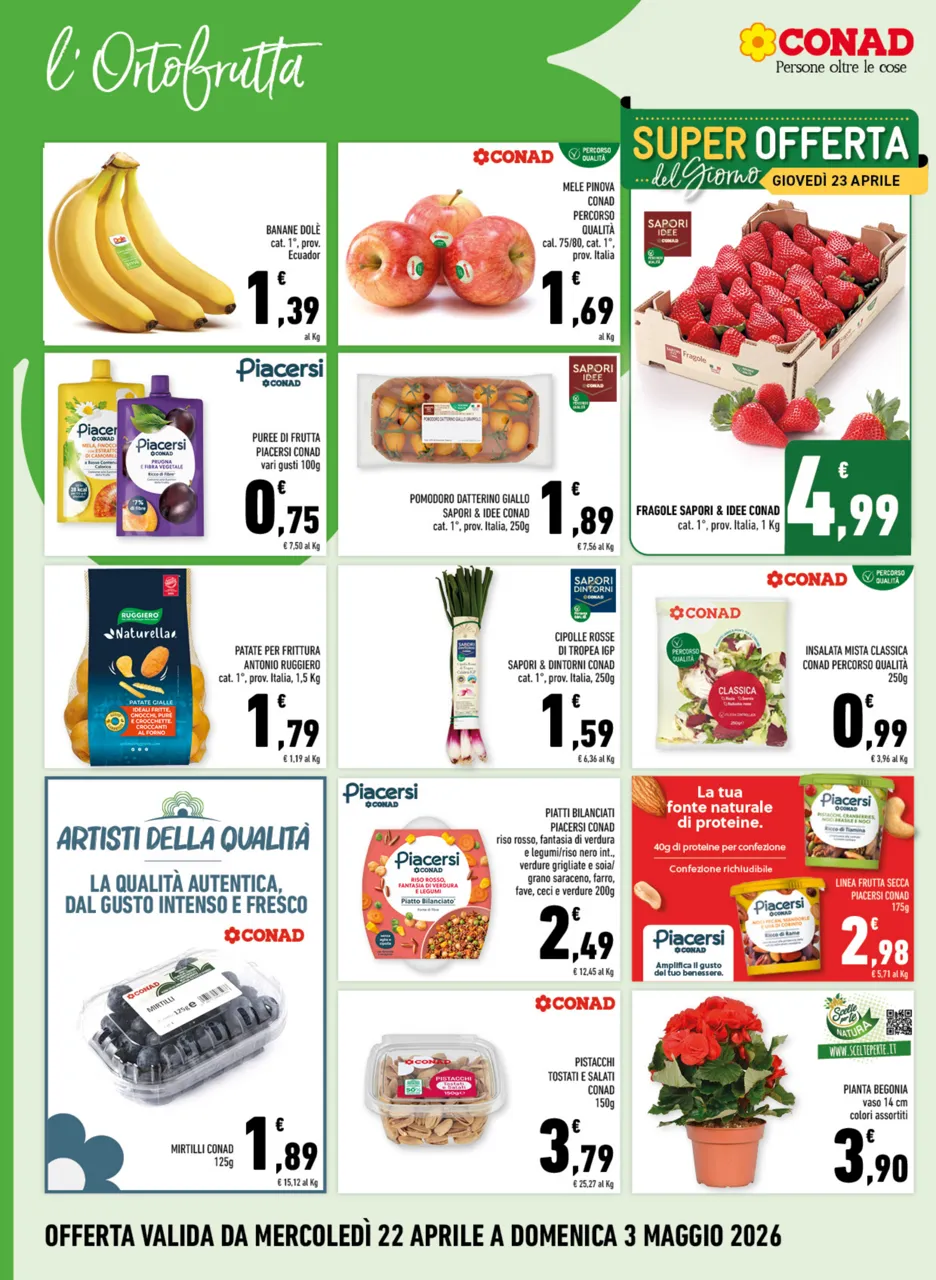Pagina 2