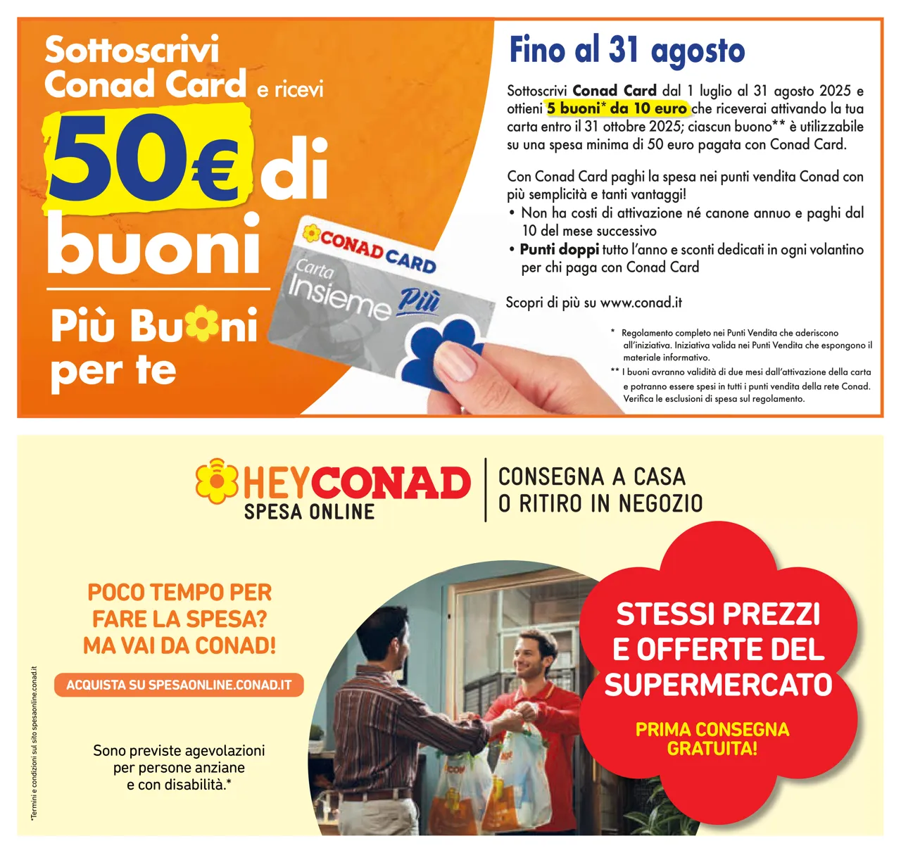 Pagina 31