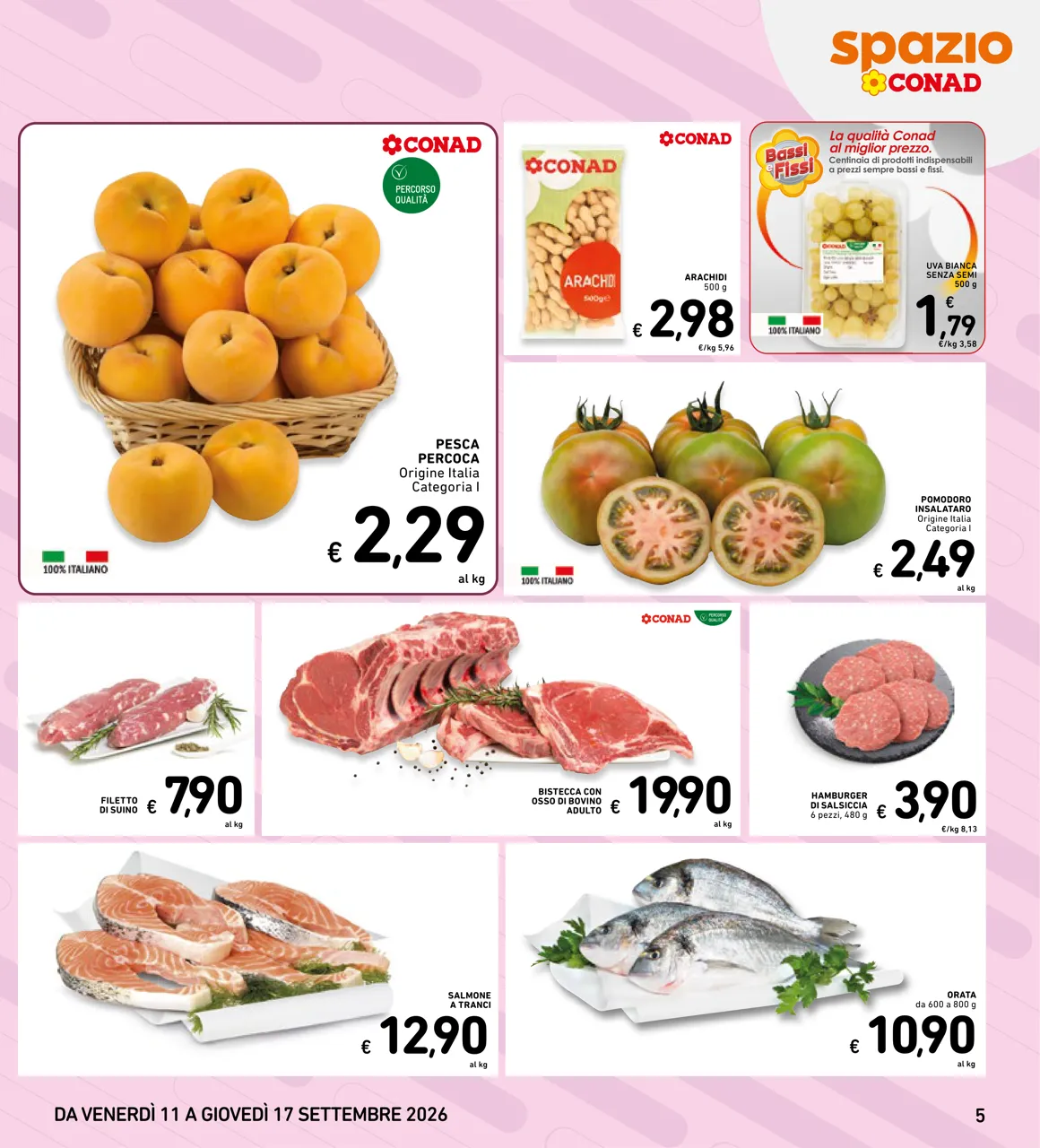 Pagina 5
