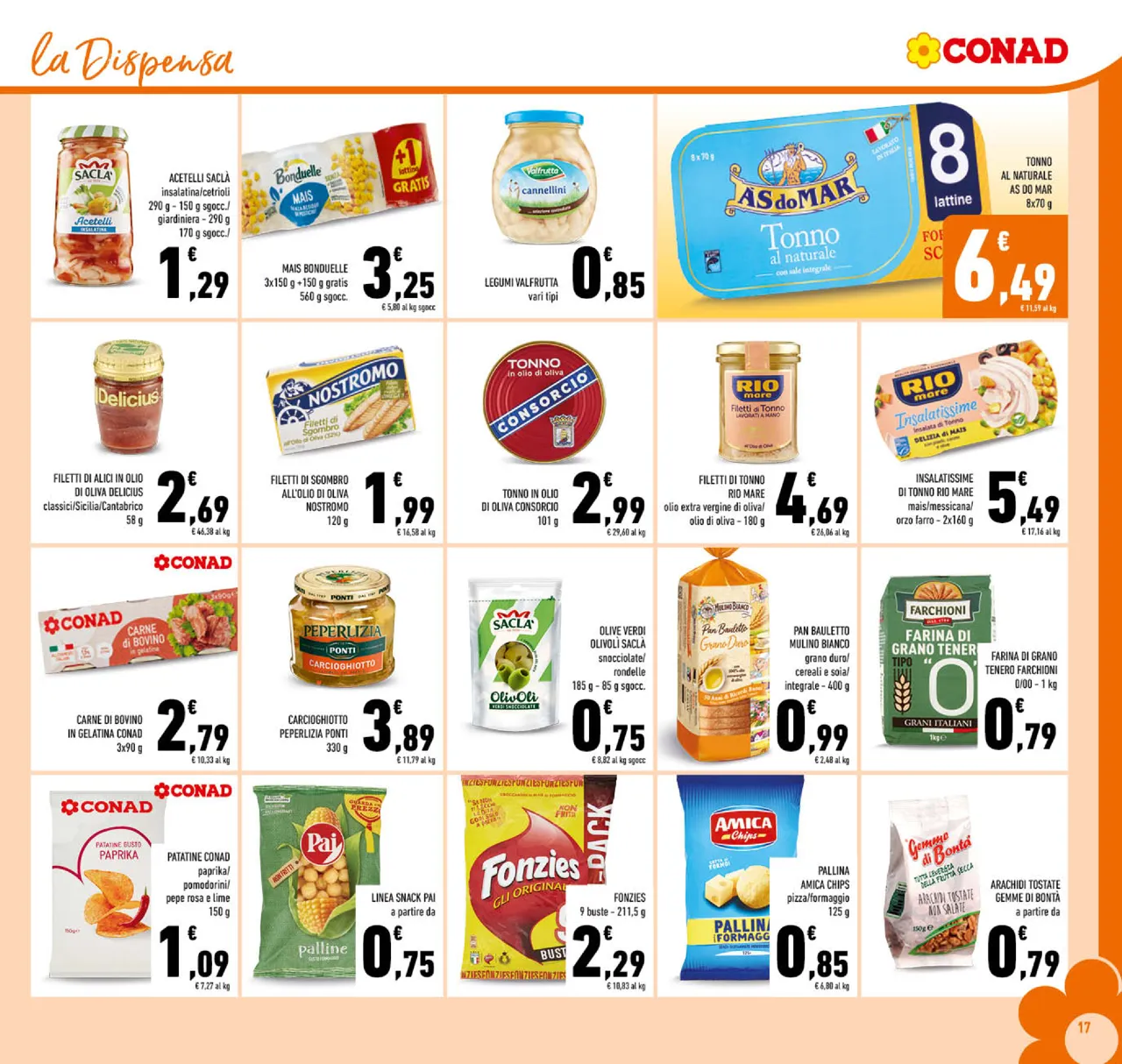 Pagina 17