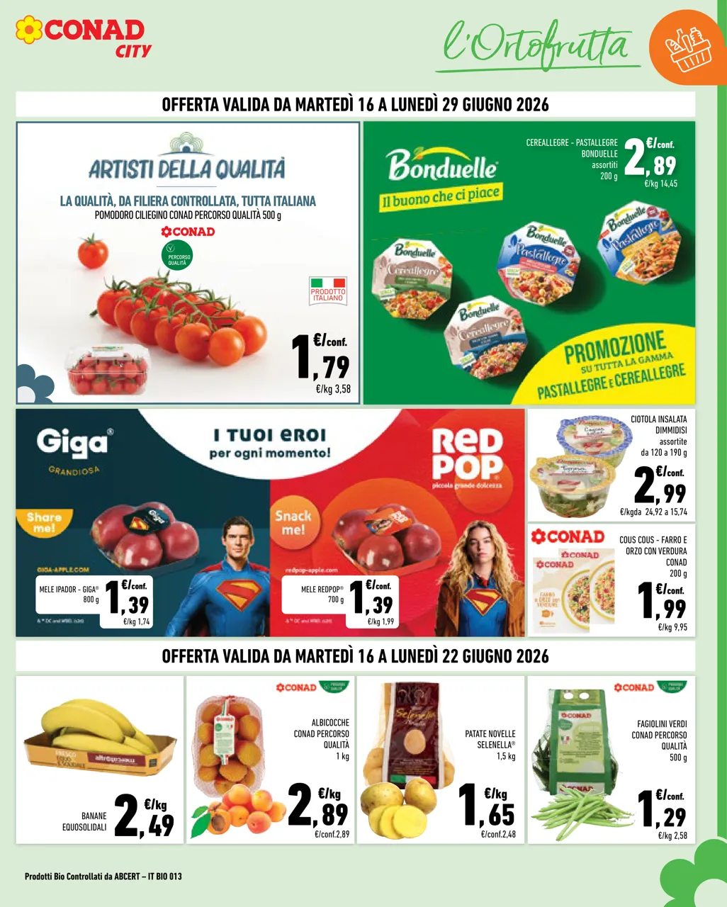 Pagina 3