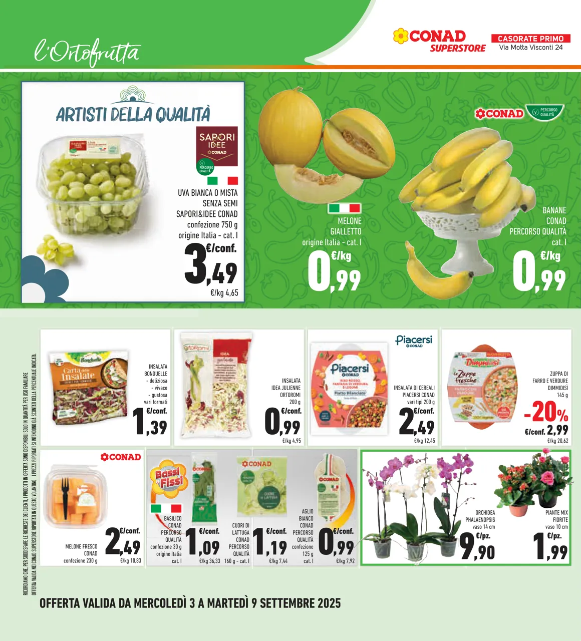 Pagina 12