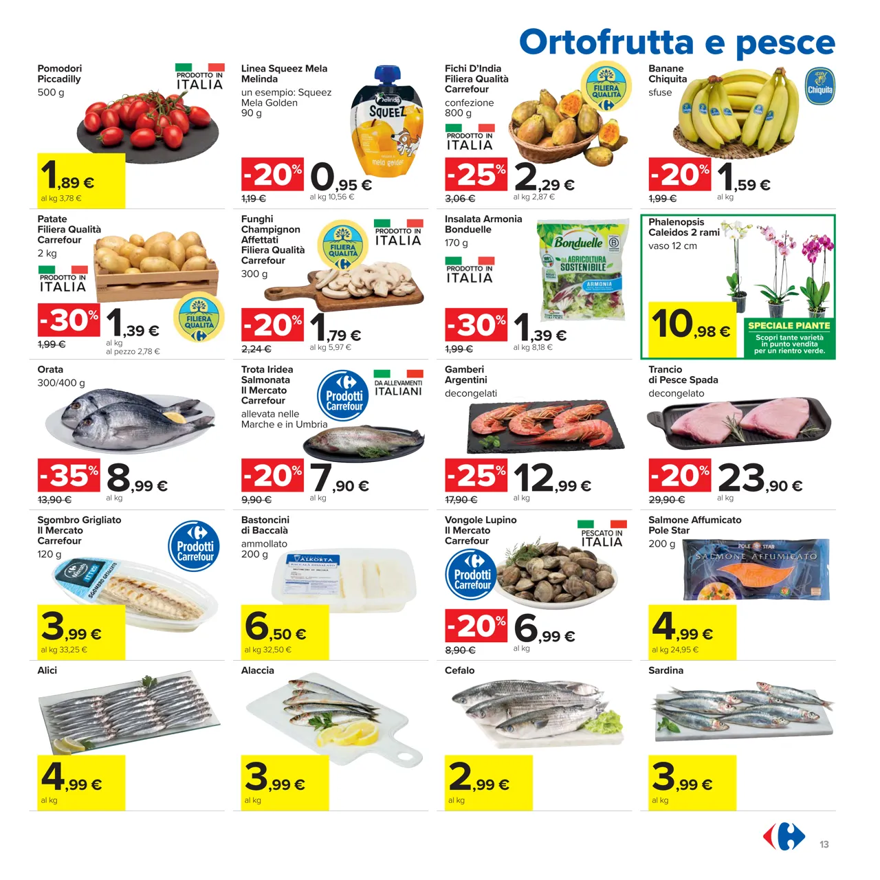 Pagina 13